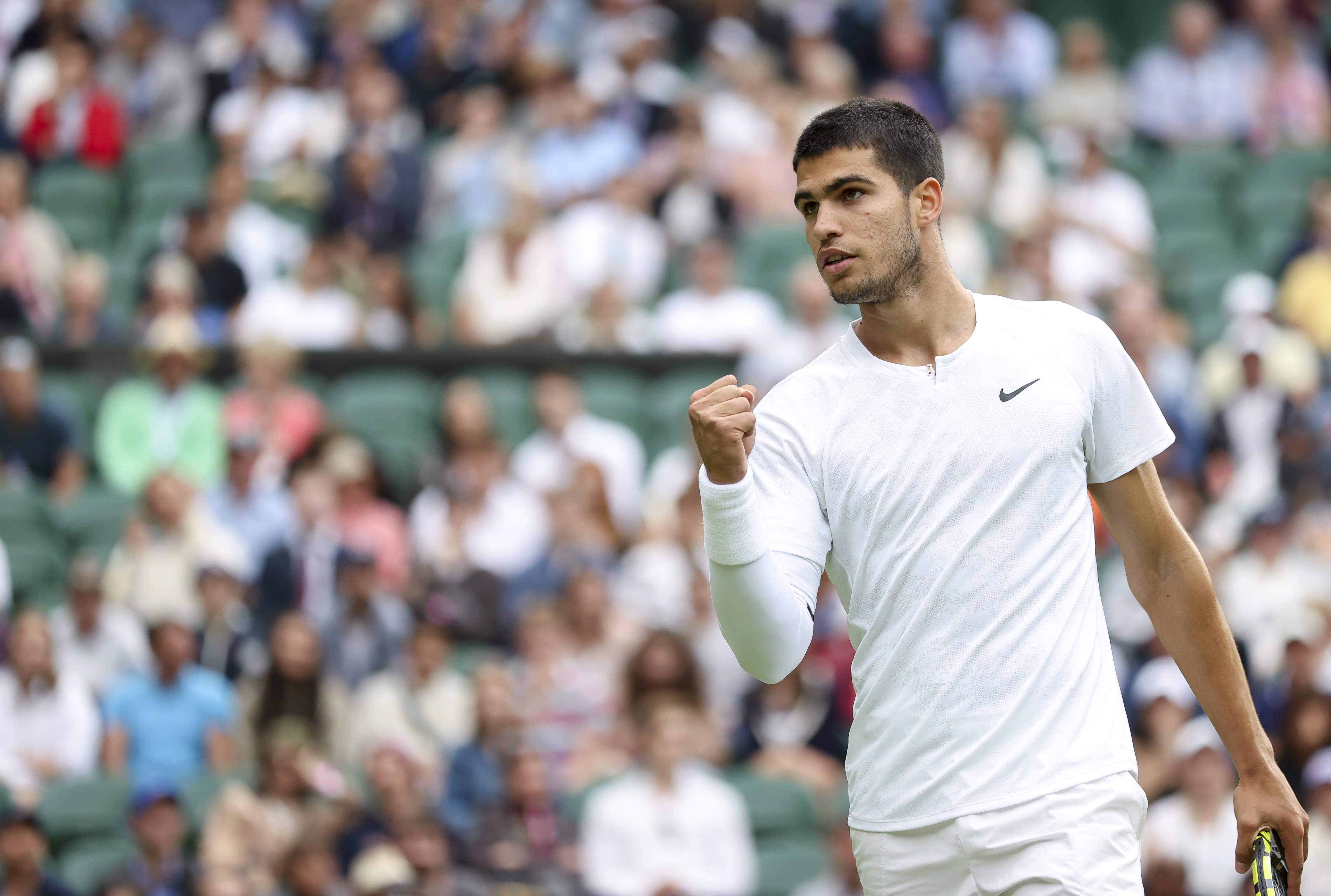 被竹林和河 被竹林和河